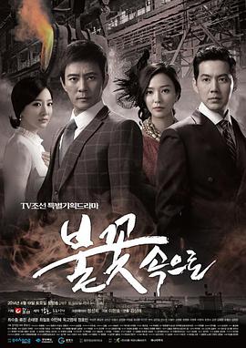 seo网站优化方案案例分析题